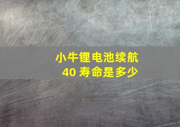 小牛锂电池续航40 寿命是多少